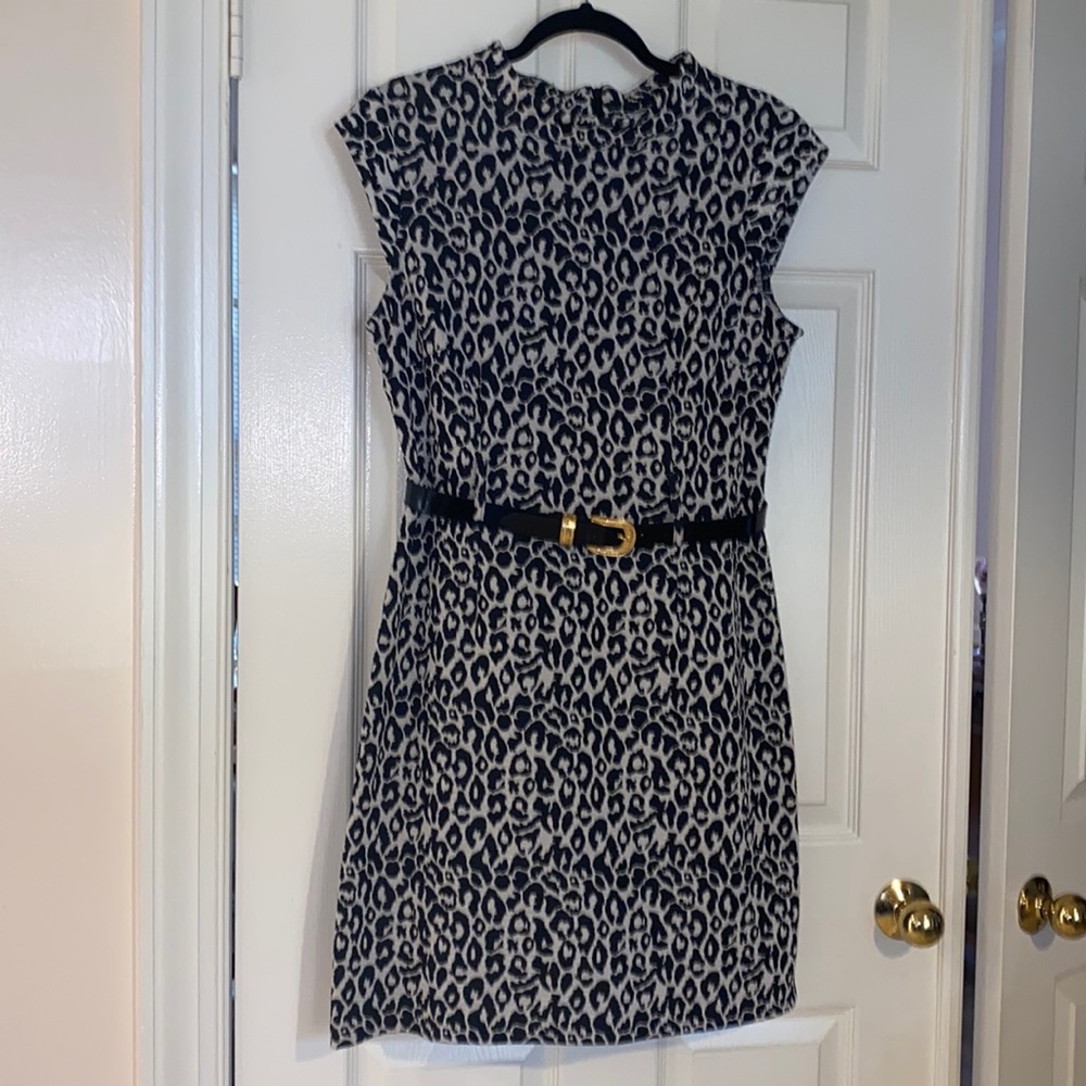 Sandra Darren Stretch Leopard Print Belted Dress Size 10